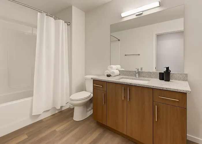 Boulevard Modern 1br Asu Pool Gym 06 Apartment Tempe